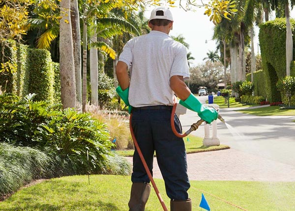 About Hamtramck MI Pest Control Pros